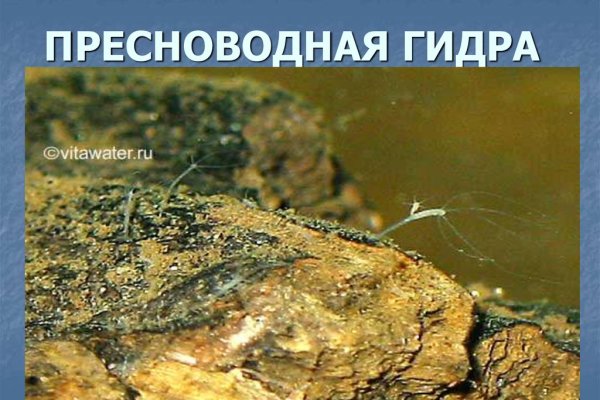 Кракен лого маркетплейс