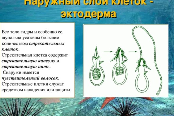 Как восстановить доступ к аккаунту кракен
