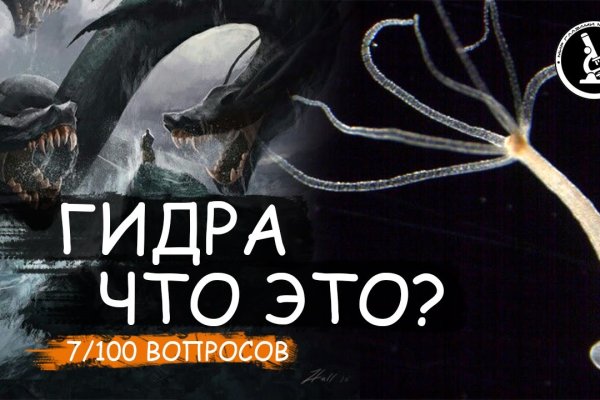 Kraken whitenet ссылка