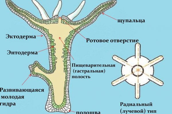 Кракен счастье россия