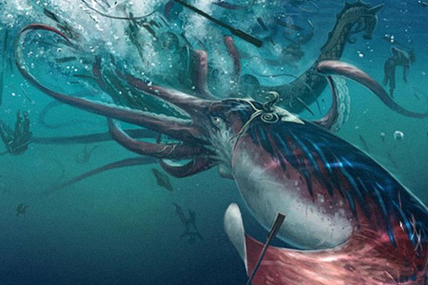 Kraken com whitenet