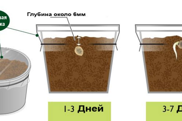 Кракен супернет только через стор