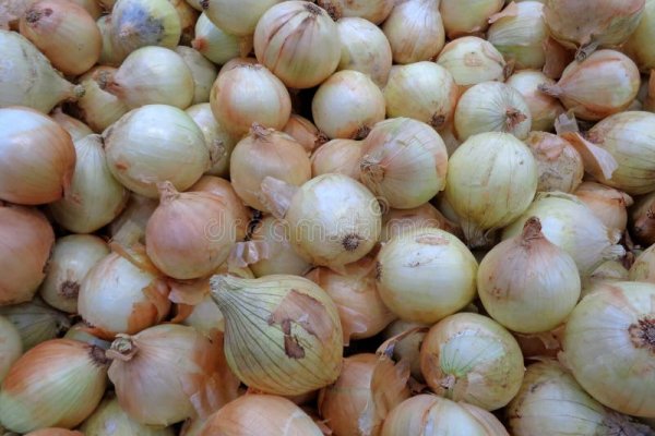Kraken onion ссылка